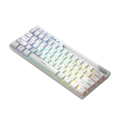 AULA WIND F3061 MEMBRANE RGB TKL WIRED SILICONE KEYBOARD