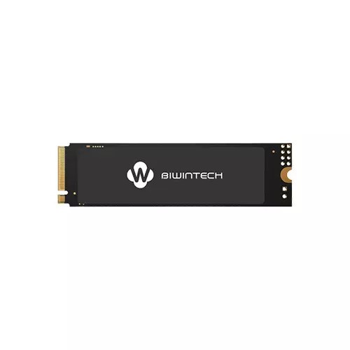 BIWINTECH NX500 256GB PCIE M.2 NVME SSD
