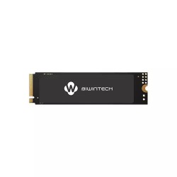 BIWINTECH NX500 256GB PCIE M.2 NVME SSD
