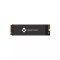 BIWINTECH NX500 256GB PCIE M.2 NVME SSD