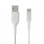 Belkin Type A Male to Type-C Male 1M Charging Cable