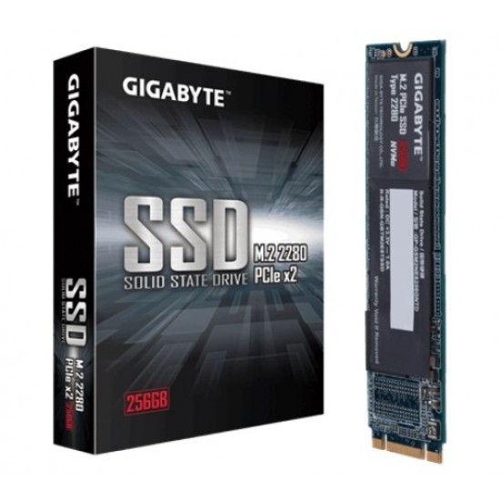 Gigabyte 256GB M.2 PCIe SSD