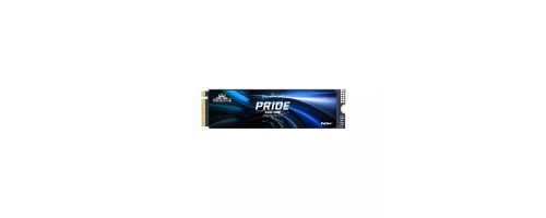 KINGSPEC ONE BOOM PCIe 4.0 X400 512GB Gen4 NVMe SSD