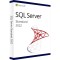 Microsoft SQL Server 2022 Standard 2 Core License Pack (CSP Perpetual)