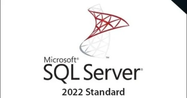 Microsoft SQL Server 2022 Standard (CSP Perpetual) | Enterprise ...