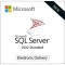 Microsoft SQL Server 2022 Standard (CSP Perpetual)