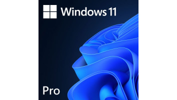 Microsoft Windows 11 Professional