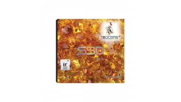 TEUTONS IRIDIUM 256GB 2280 M.2 SSD