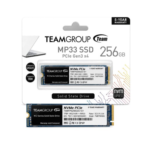 Team MP33 256GB NVMe PCIe SSD