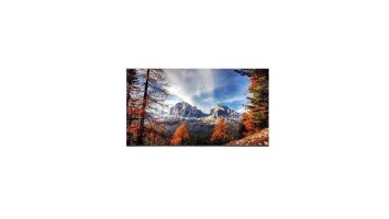 UNIVIEW MW3265-F 65 Inches 60Hz UHD DLED Monitor